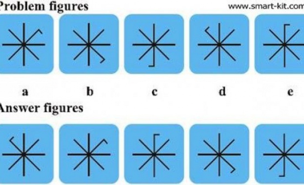 Учени: IQ -тестовете са менте