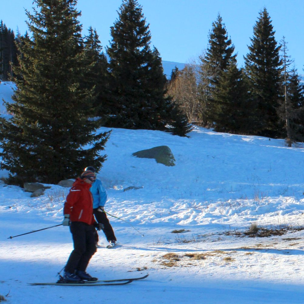Нови атракциони в Природен парк ”Витоша”