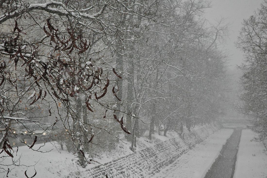 Снегът в София е тежък и мокър