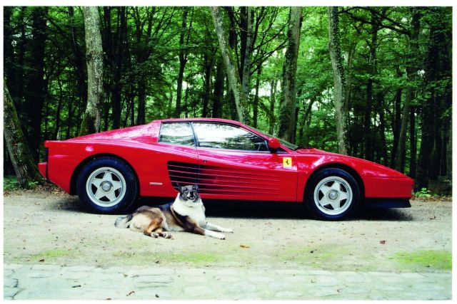 Предлагат на търг Ferrari Testarossa на Ален Делон