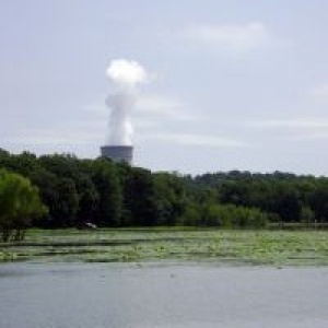 Ядрената енергетика е прекалено важна, за да се оставя на политиците