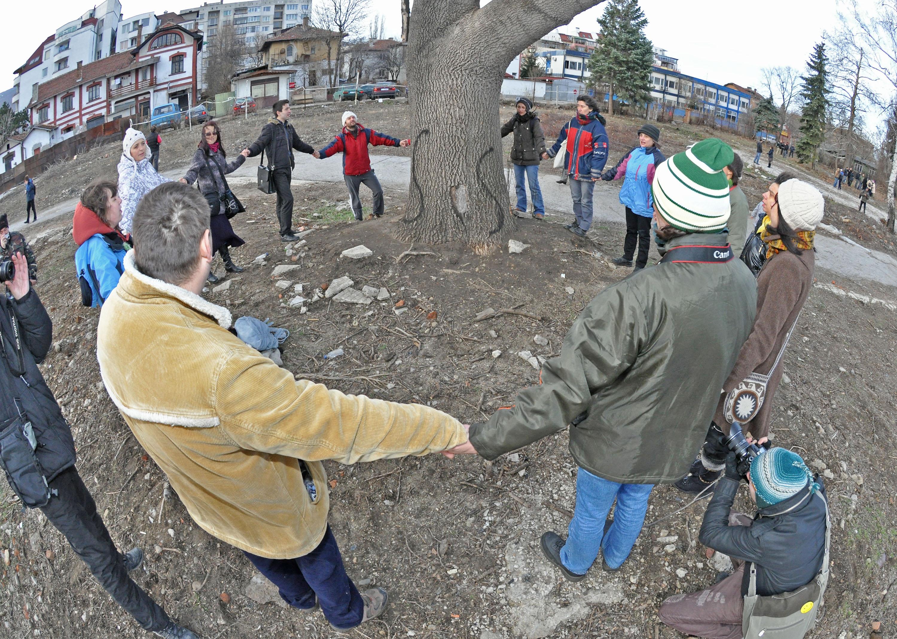 Граждани оградиха с жива верига вековно дърво в София