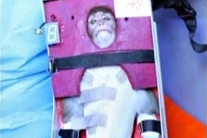 Иран покани САЩ да интервюират маймуната космонавт