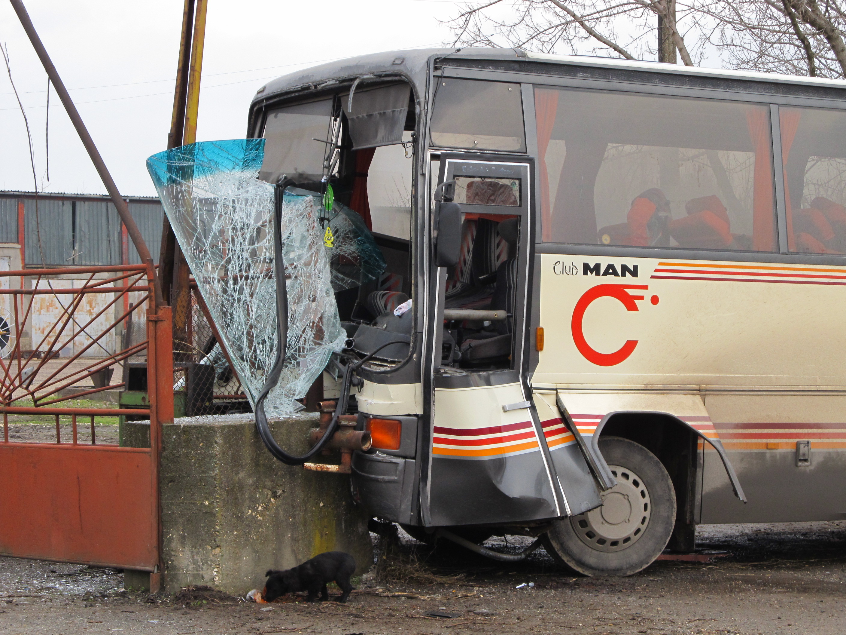 Автобусна катастрофа след прилошаване на шофьора, 22-ма са ранени