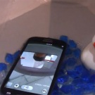 Скоро може да видим нов водоустойчив телефон от Nokia