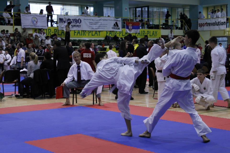 INTERNATIONAL KARATE NIKON OPEN 2013