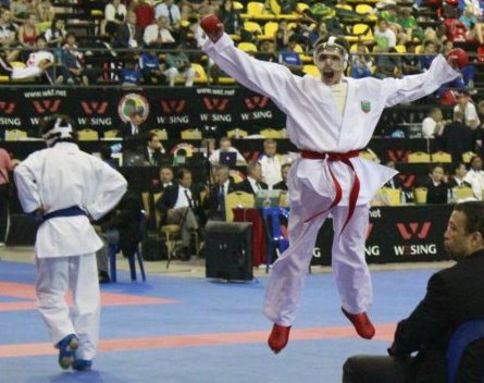 INTERNATIONAL KARATE NIKON OPEN 2013