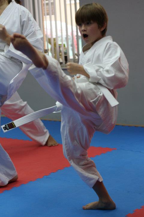 INTERNATIONAL KARATE NIKON OPEN 2013