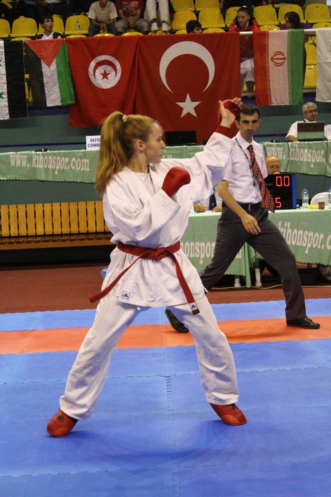 INTERNATIONAL KARATE NIKON OPEN 2013