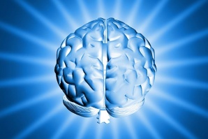 САЩ стартират нова програма за изследване на мозъка