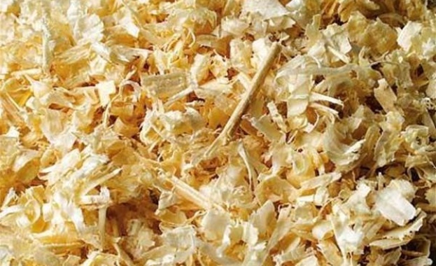 Учени получаиха храна от дървен материал