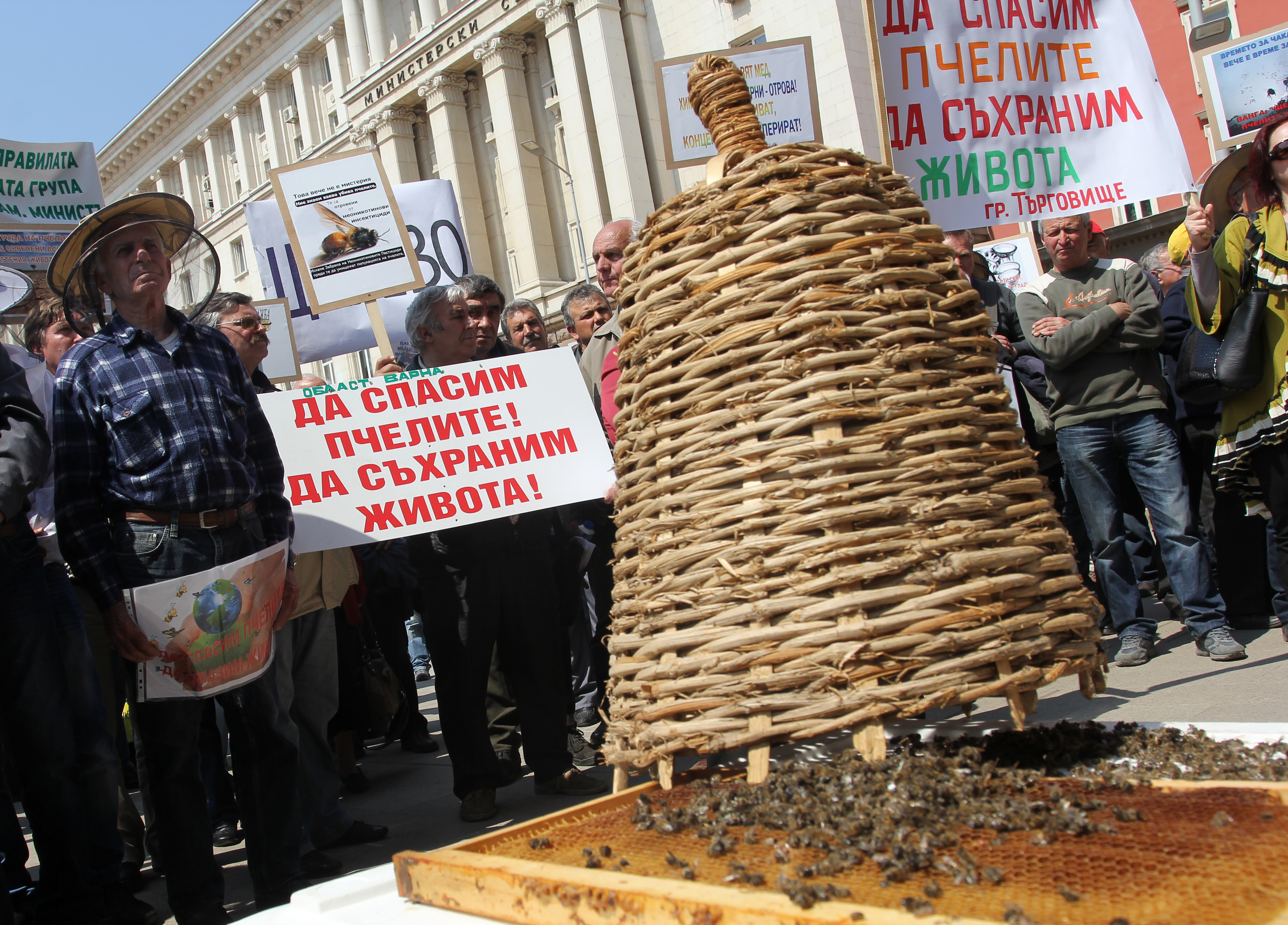 Според протестиращите 30 процента от българските пчели са измрели