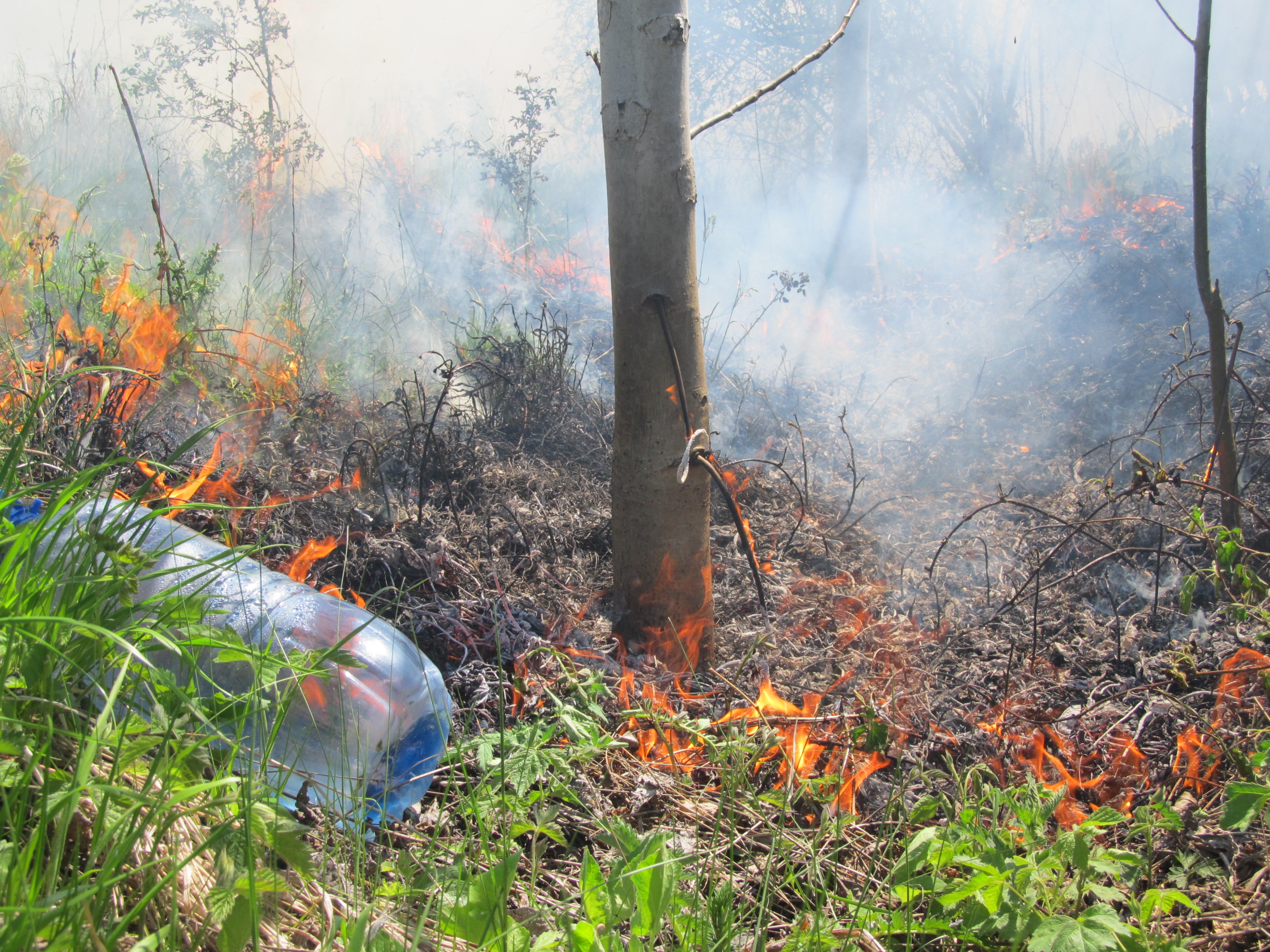 Незагасена цигара е вероятната причина за пожара гробищния парк ”Басарбово”