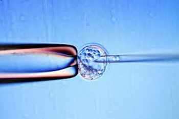В Орегон клонираха човешки ембрион