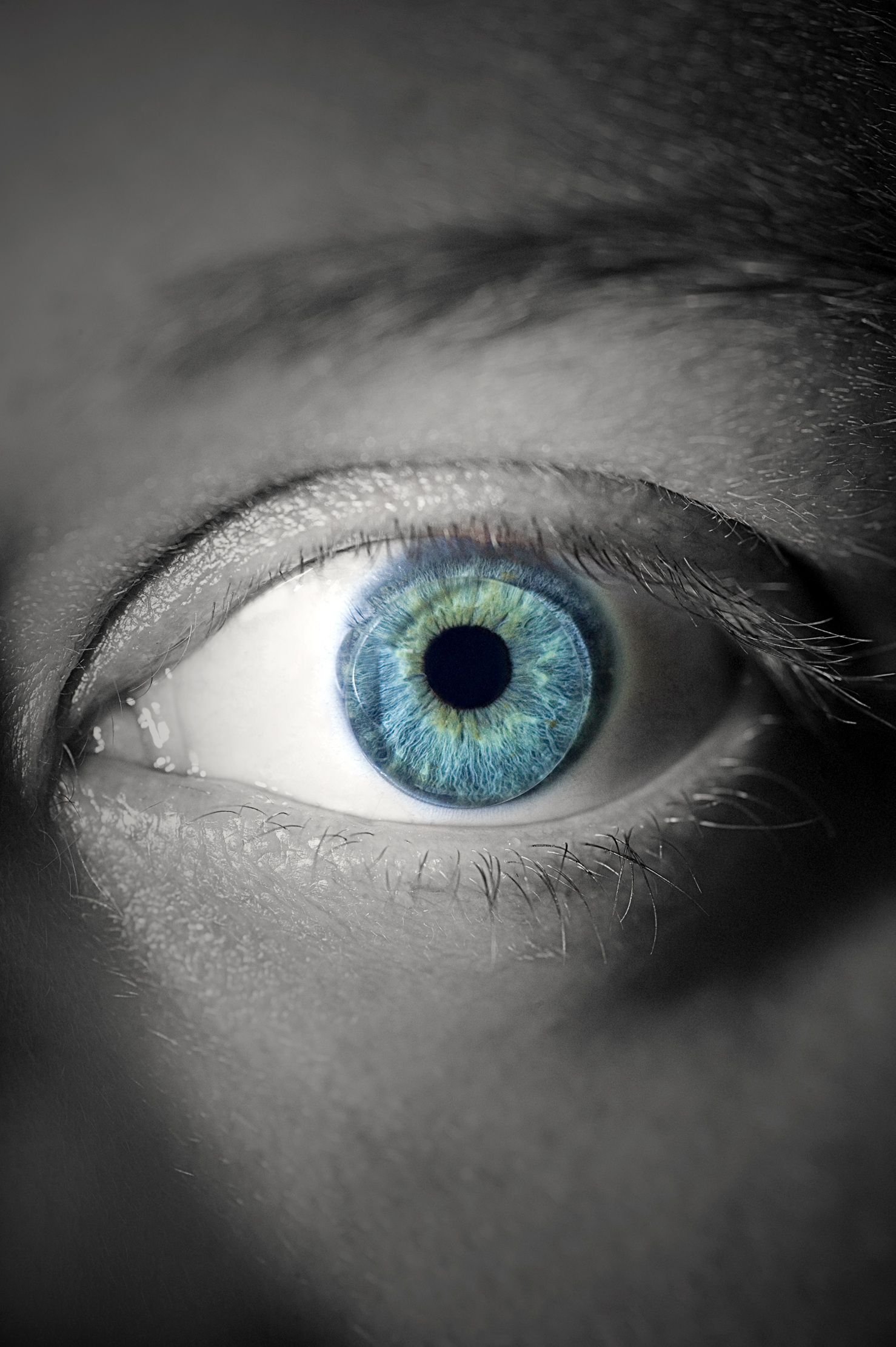 Сканирането на ириса и пръстовите отпечатъци са сред новите средства