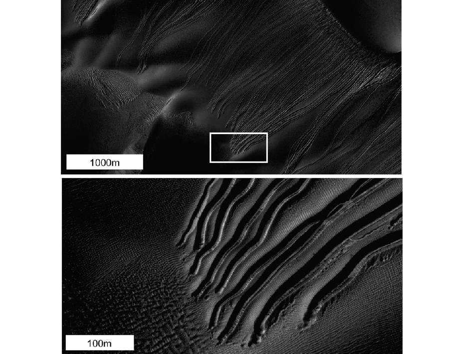 Улеи по дюните на Марс