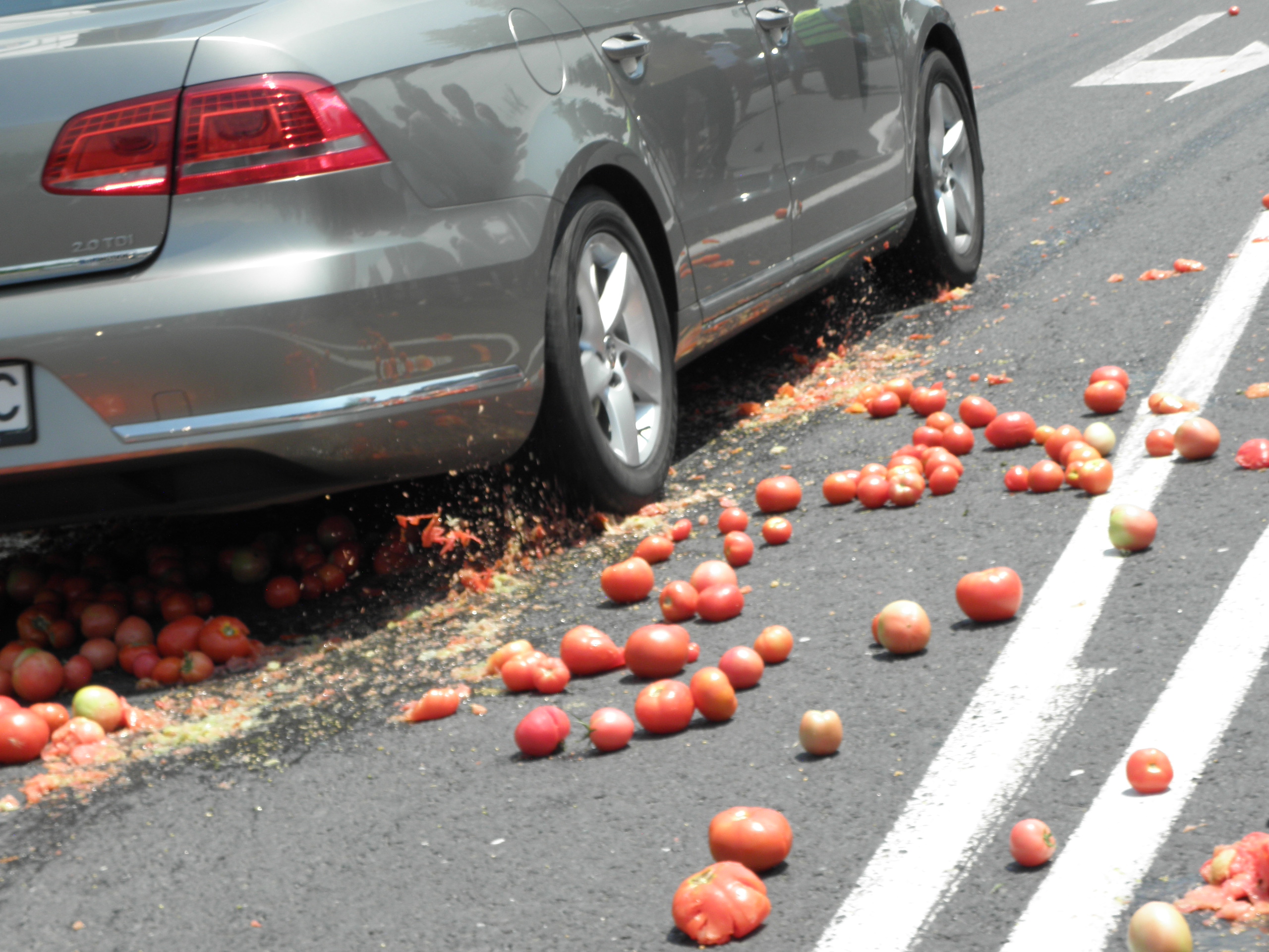 Зеленчукопроизводители изхвърляха домати на главен път Е-79