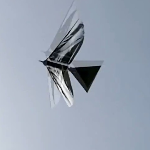 Робо-гарван лети като истинска птица (видео)