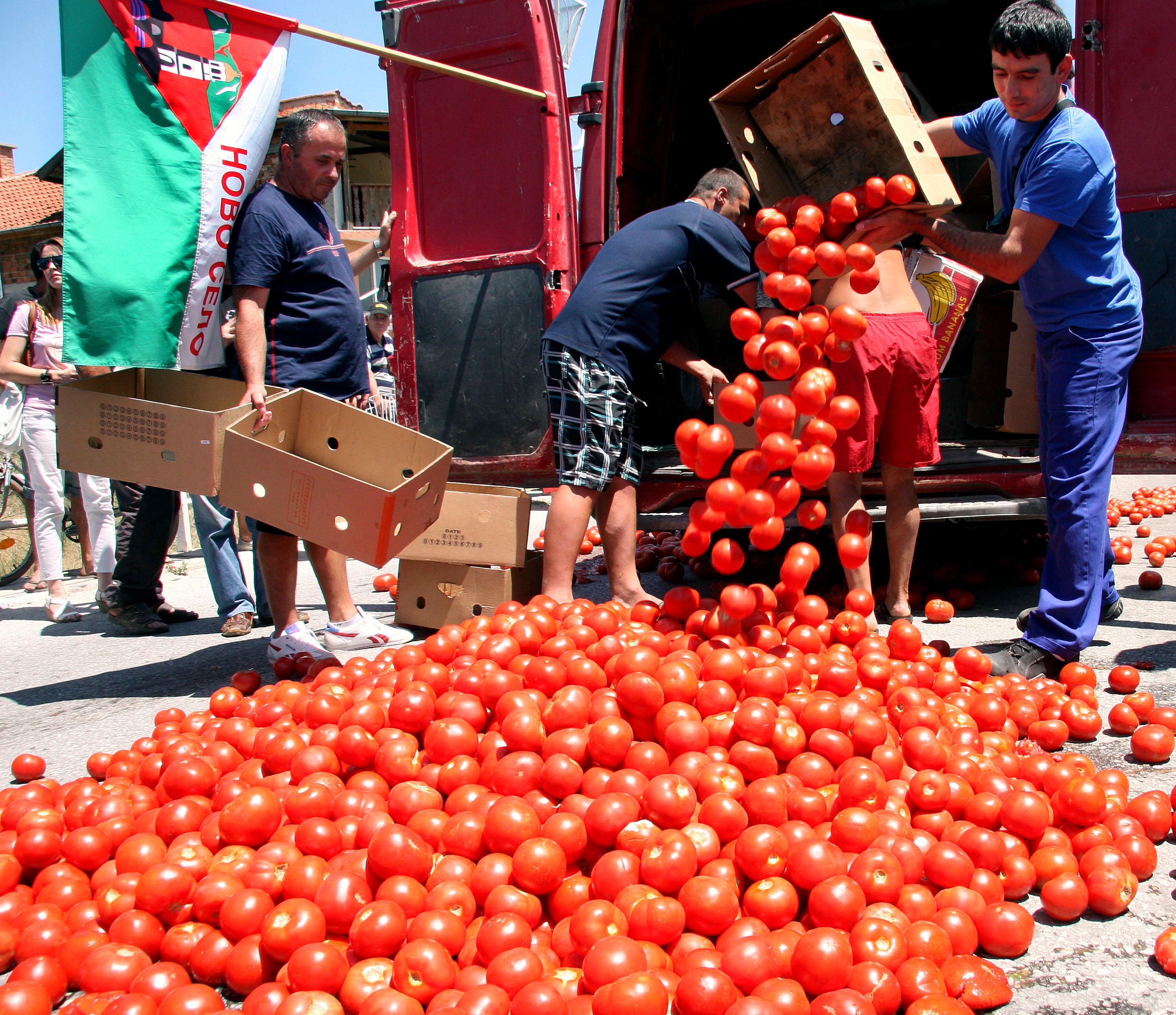 Гневни земеделци блокираха път с 10 тона домати