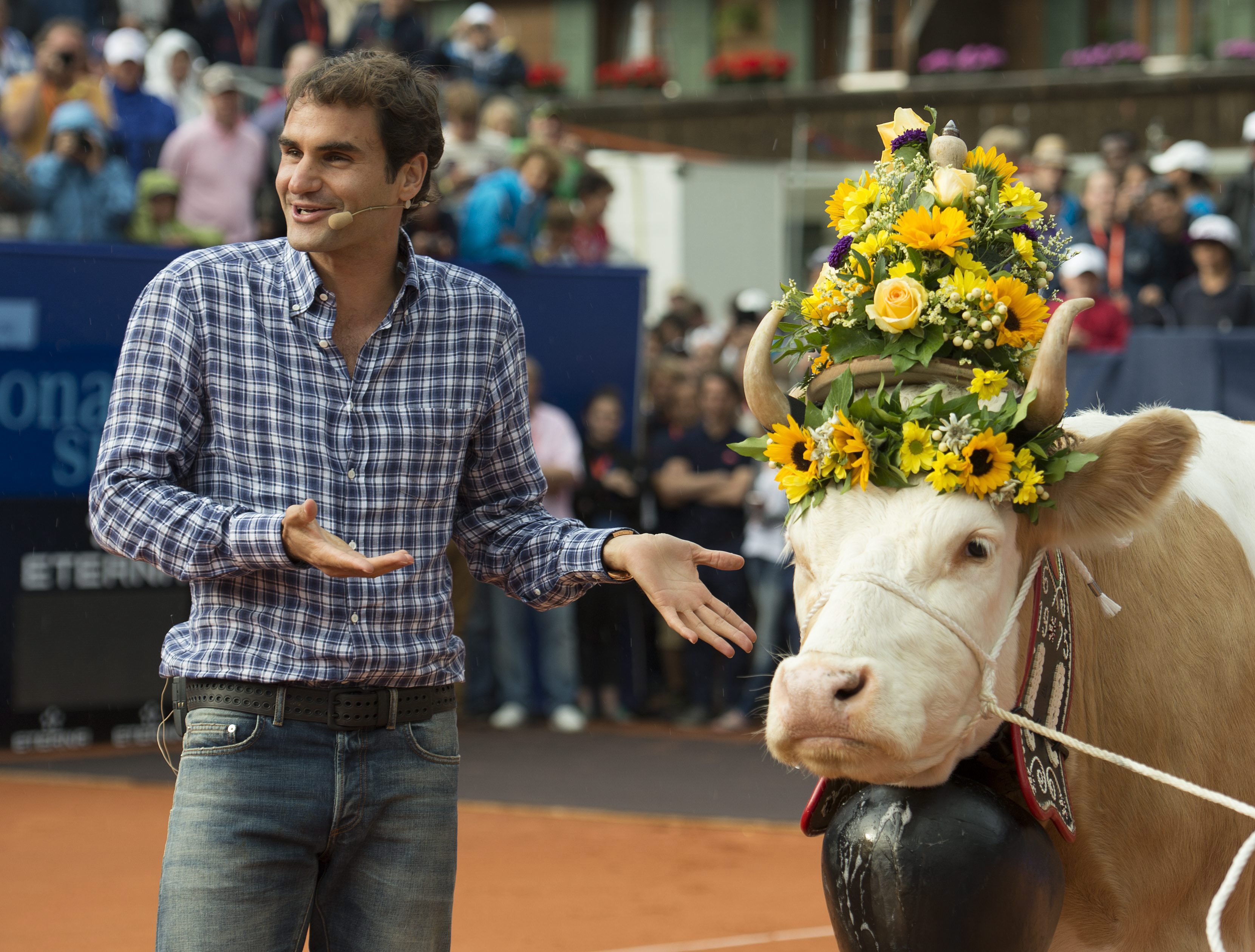 Подариха крава на Роджър Федерер (снимки)