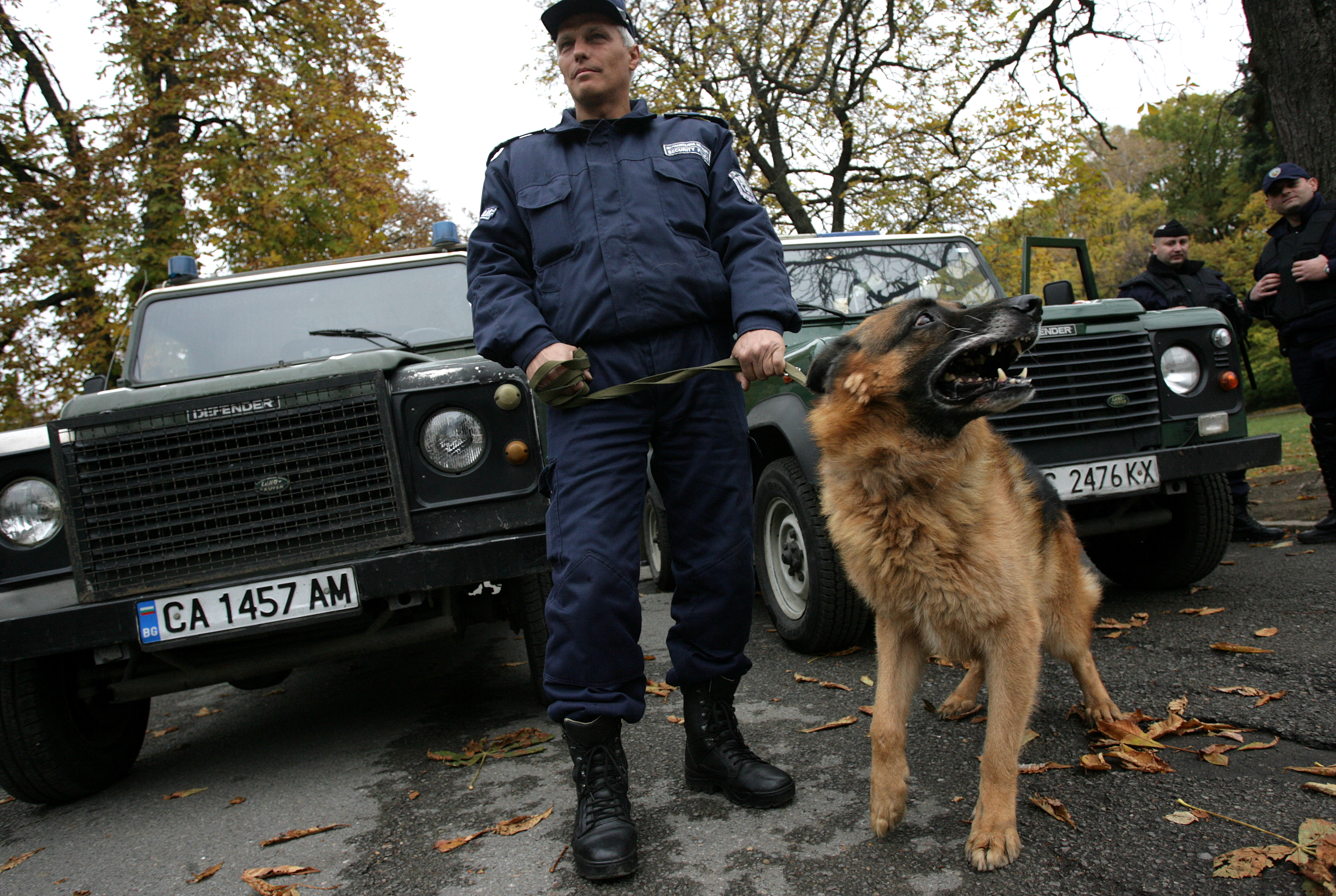 Полицейските кучета са проследили следите на обирджиите до кв. ”Младост-3”