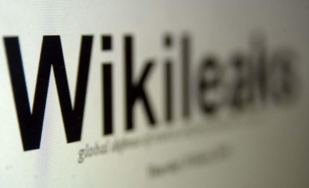 Продават сървъра на Wikileaks