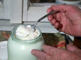 В Кипър разследват незаконни продажби на българско мляко