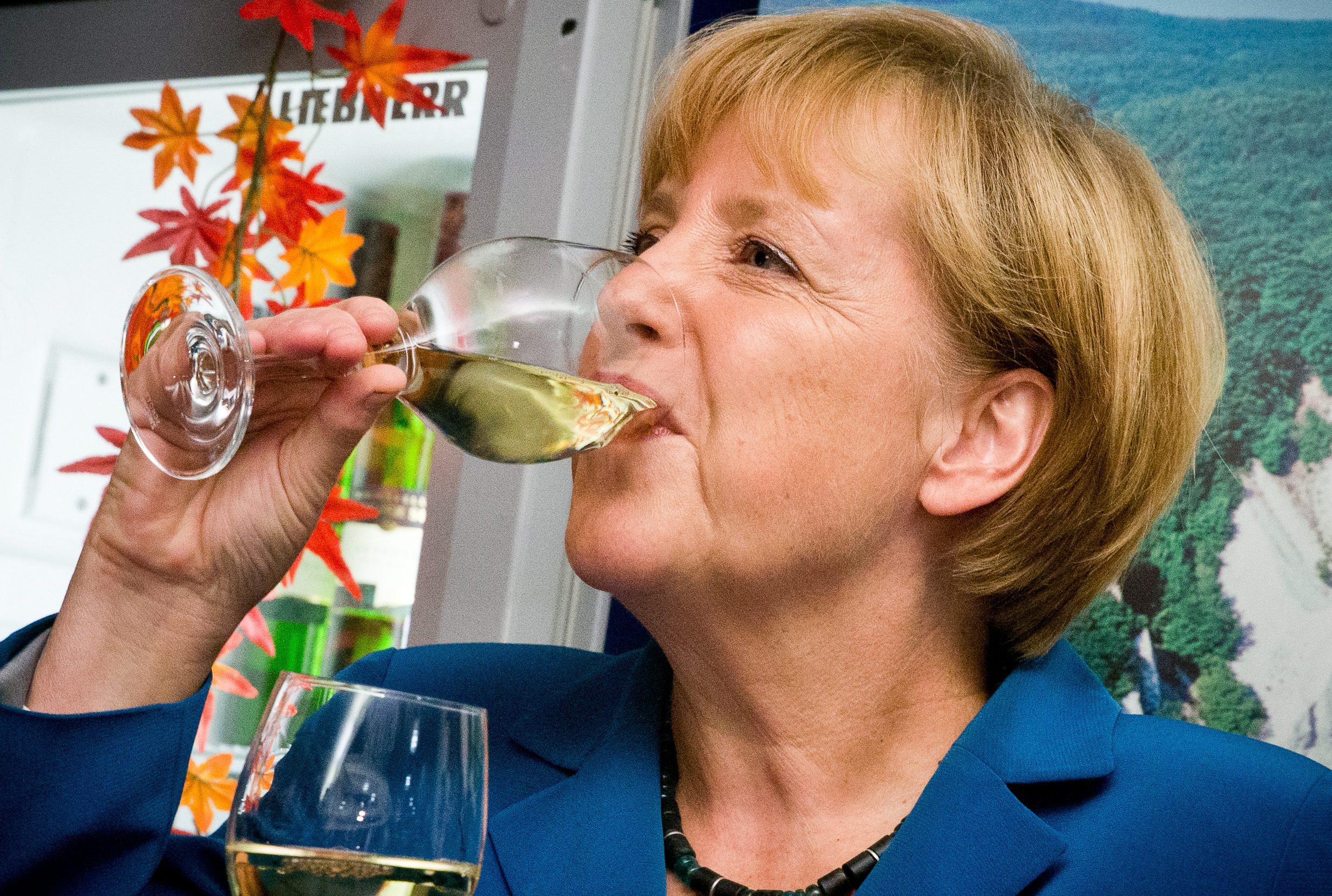 Меркел триумфира, но остана на 5 места от абсолютното мнозинство