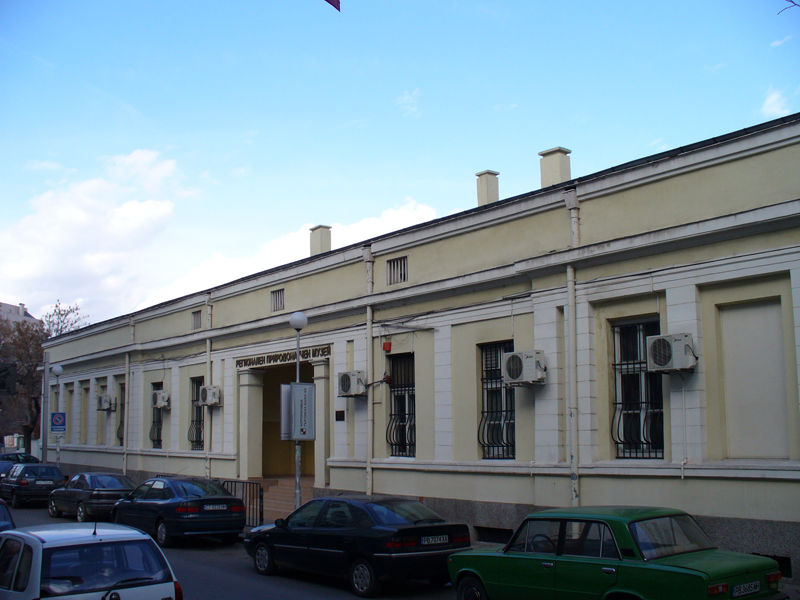 Инцидентът е станал в района на Природонаучния музей в Пловдив