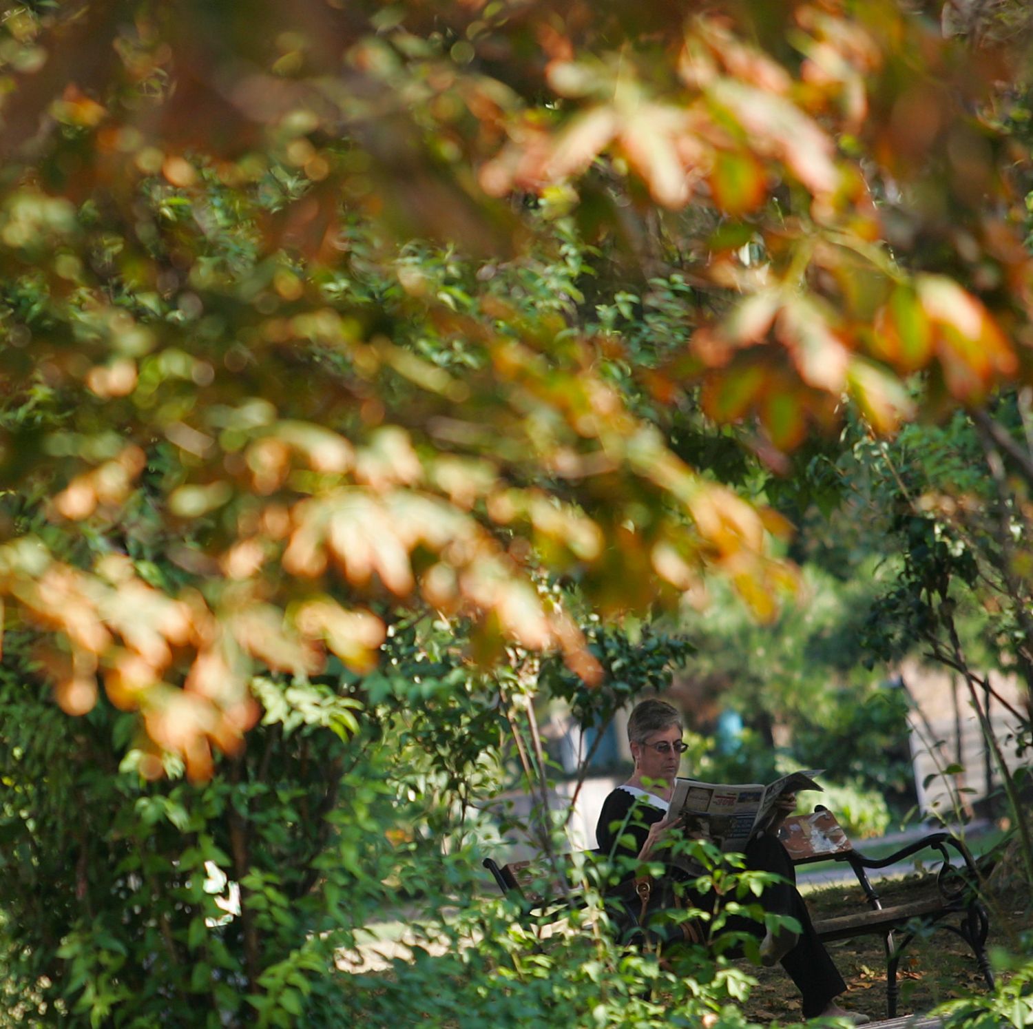 Седмична прогноза: остава топло