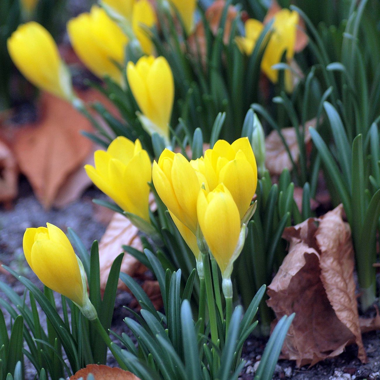 Къде да пътуваме през октомври
