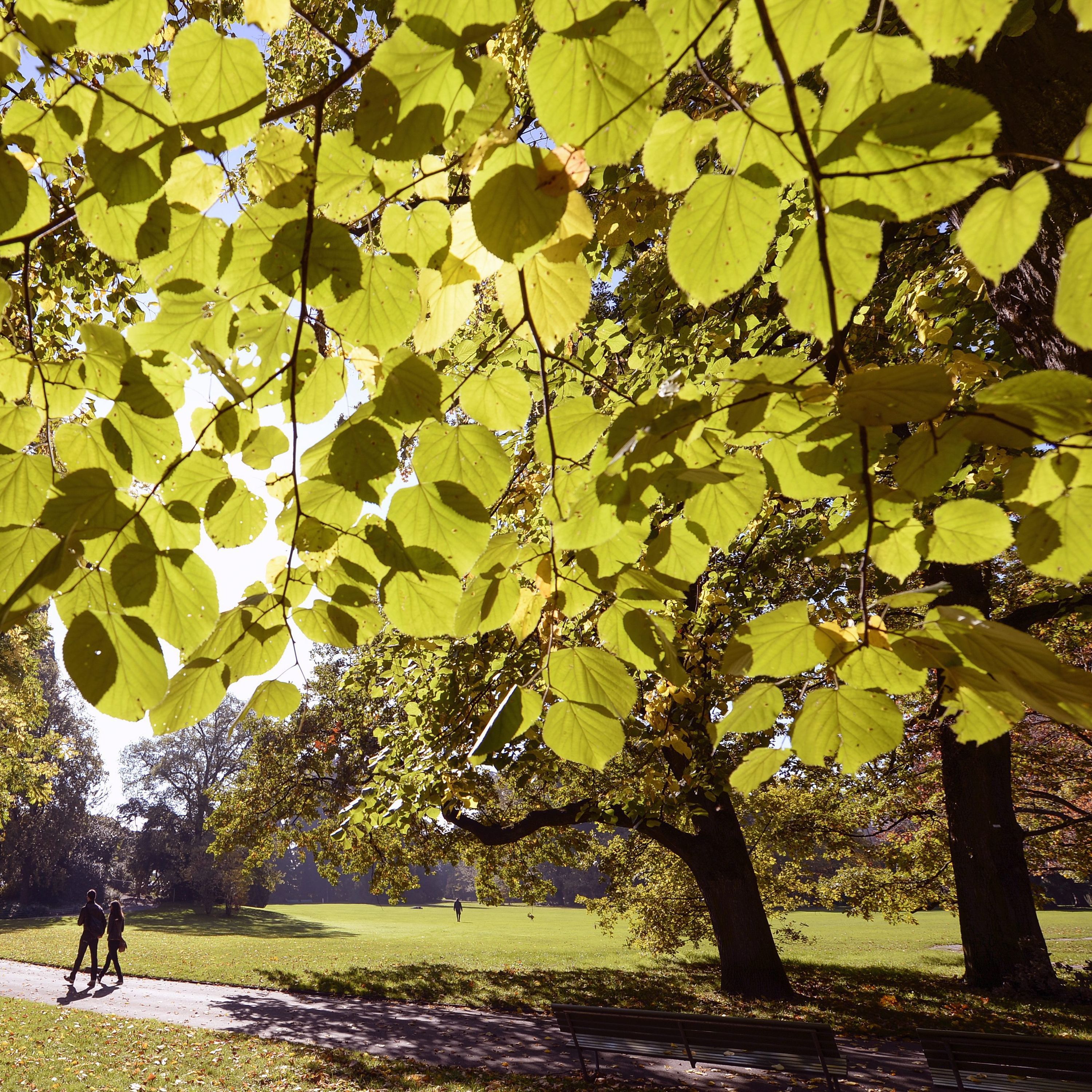 Спокойното и топло есенно време продължава