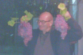 Рекордно големи гроздове отгледа мъж от Стара Кресна