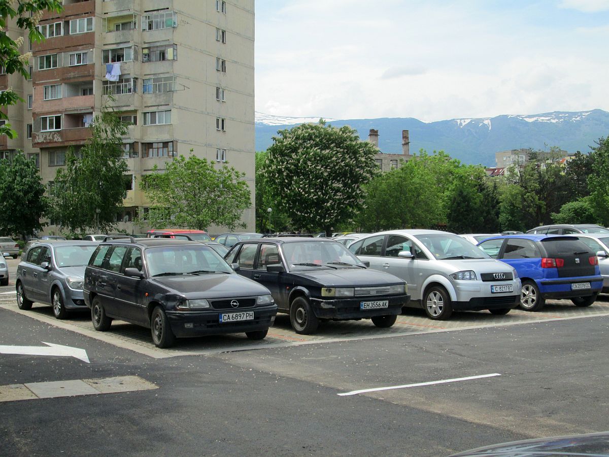 Екотаксата, която се заплаща в България за по-старите автомобили е 250 лева, а за новите автомобили е наполовина