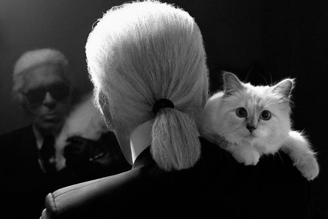 Карл Лагерфелд с котката си Шупет