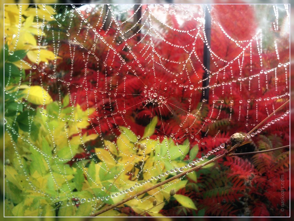700 снимки показват красотата на златната есен