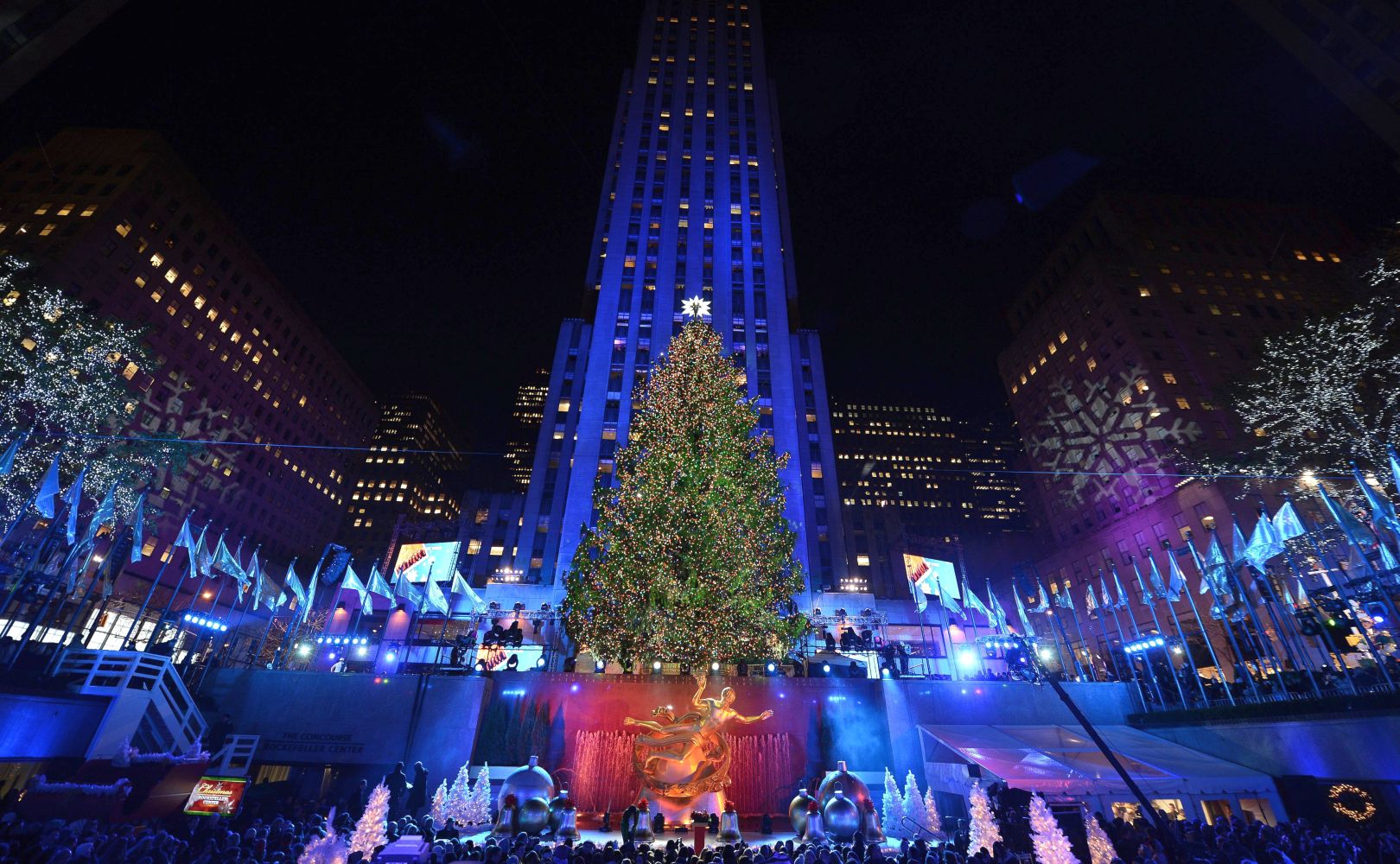 В центъра на Ню Йорк монтират 23-метрова коледна елха