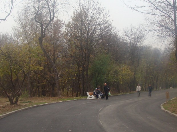 Част от главната алея в парк ”Лаута” е преасфалтирана