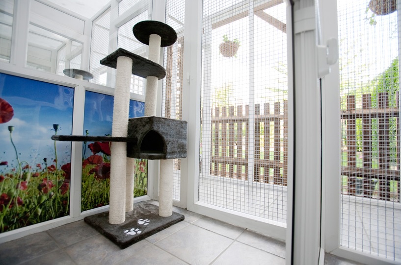 Стая в Longcroft Luxury Cat Hotel