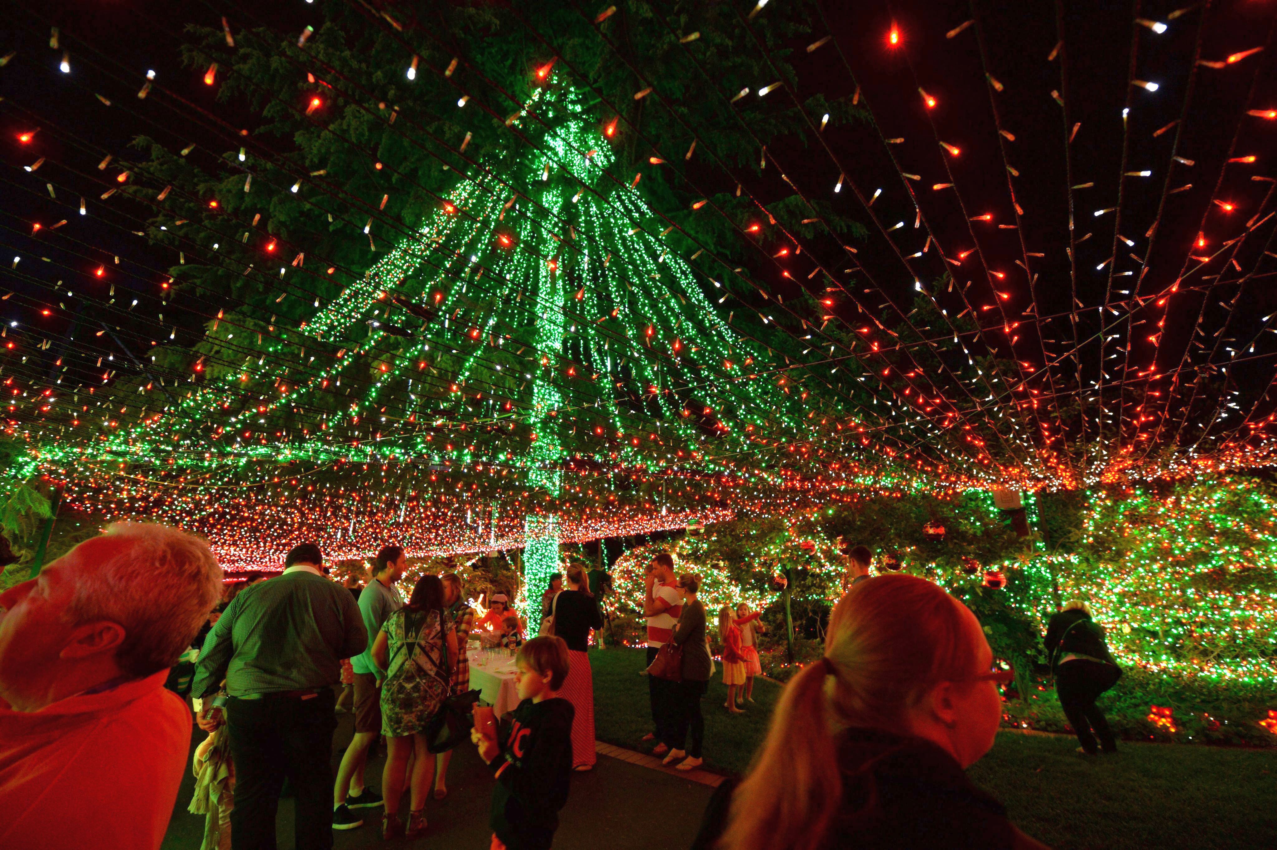 Коледната украса на австралийско семейство - нов рекорд за Гинес