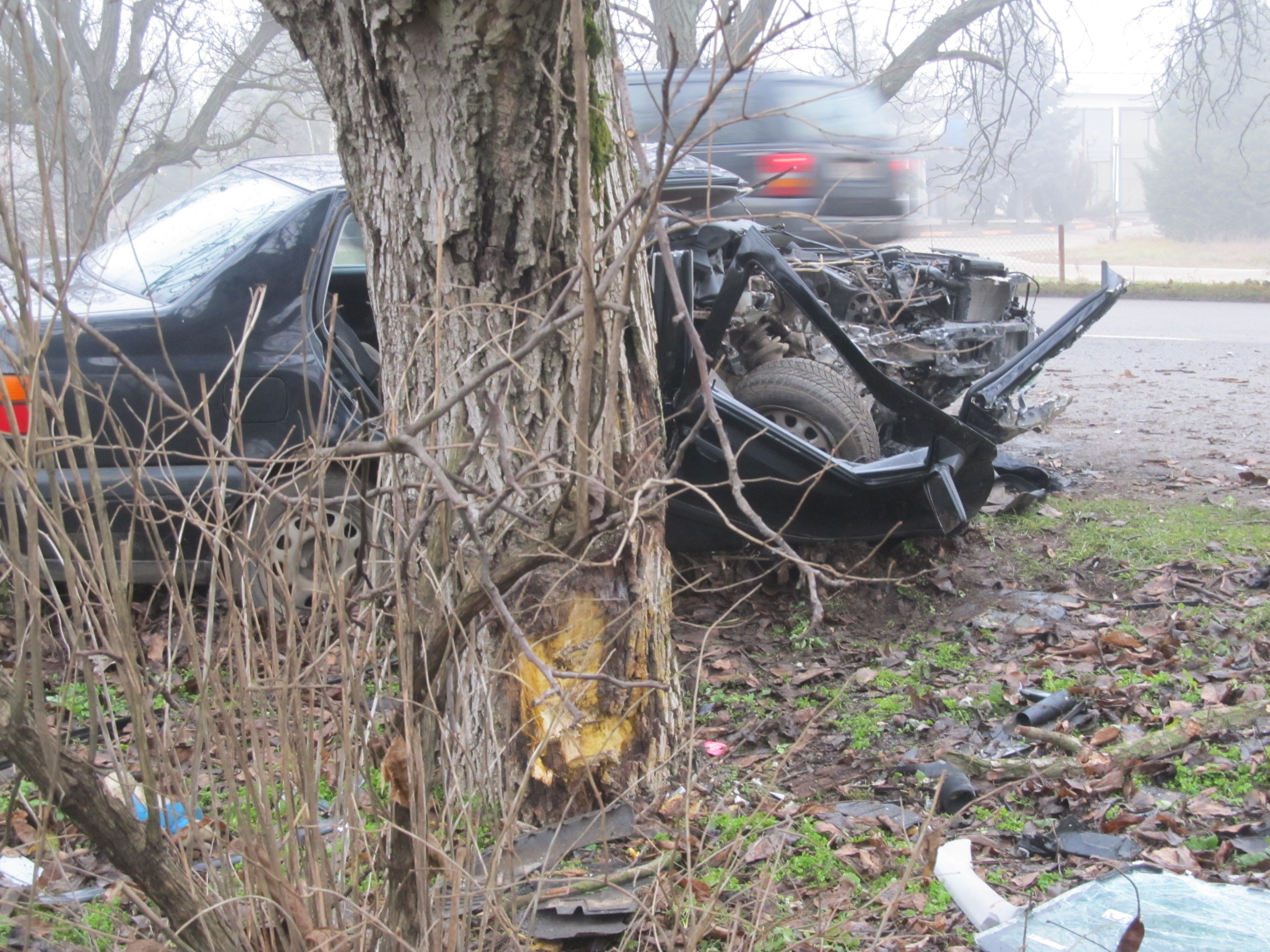 Кола на път за болница се заби в дърво, 4-ма са ранени (снимки)