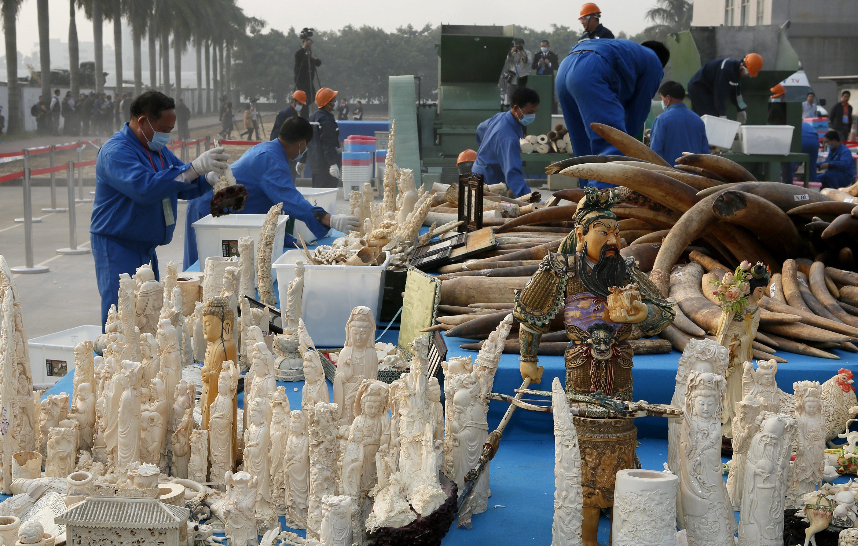 Китай унищожи 6 т слонова кост, за да подобри имиджа си (снимки)