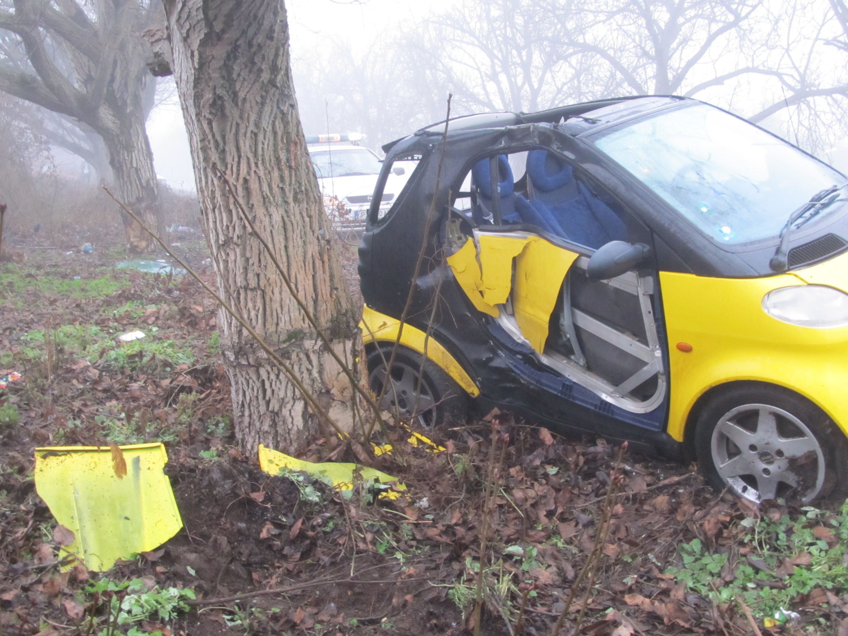 Майката е загубила контрол върху колата, която се удря в крайпътно дърво