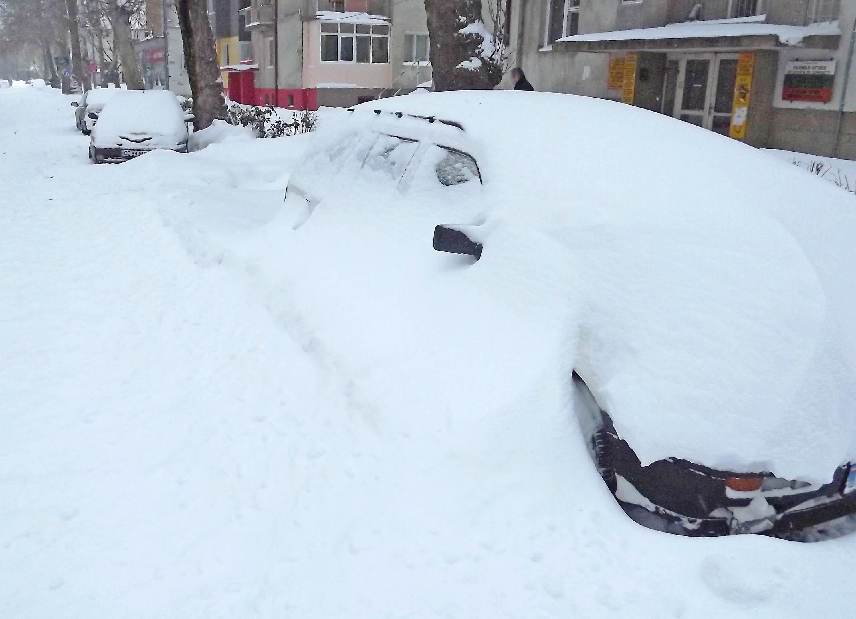 Снежна буря вилнее в Силистра, Кайнарджа бедства