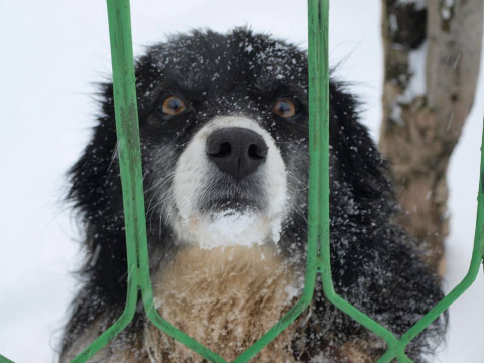 Зимата минава в отбрана
