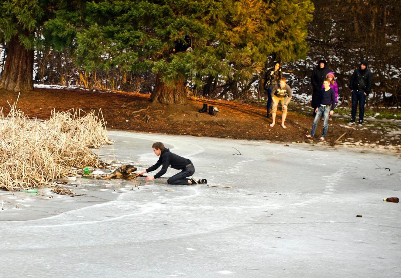 Деца спасяват бездомно куче от леда в Южния парк