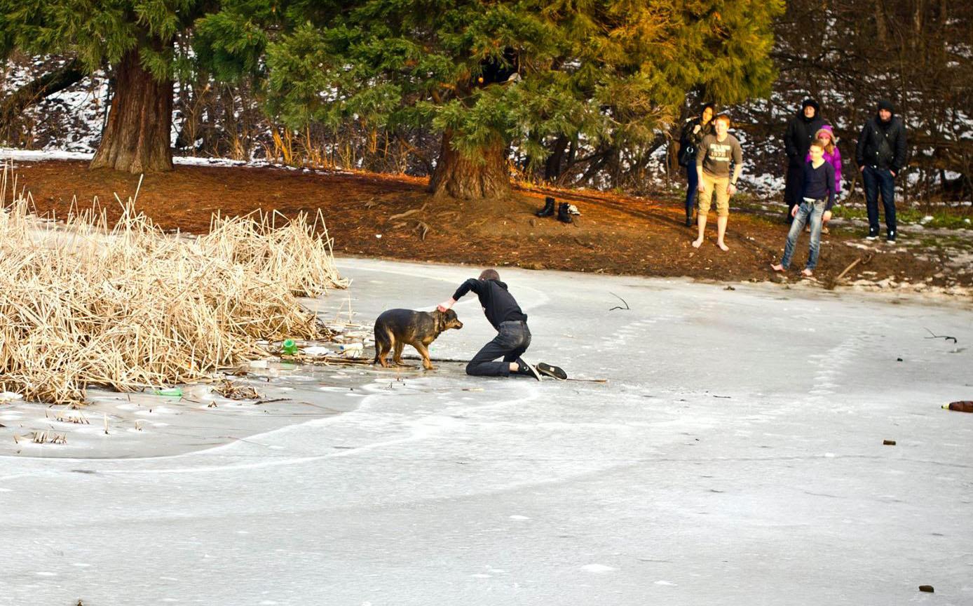 Деца спасяват бездомно куче от леда в Южния парк