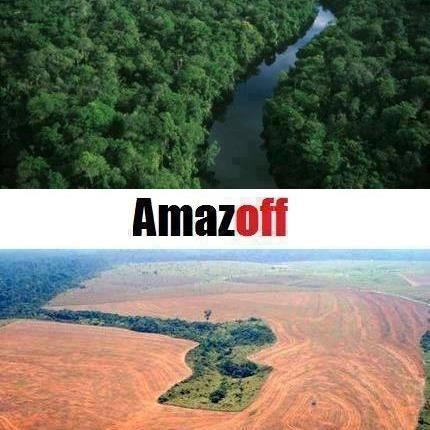 Google създаде карта на унищожаването на горите