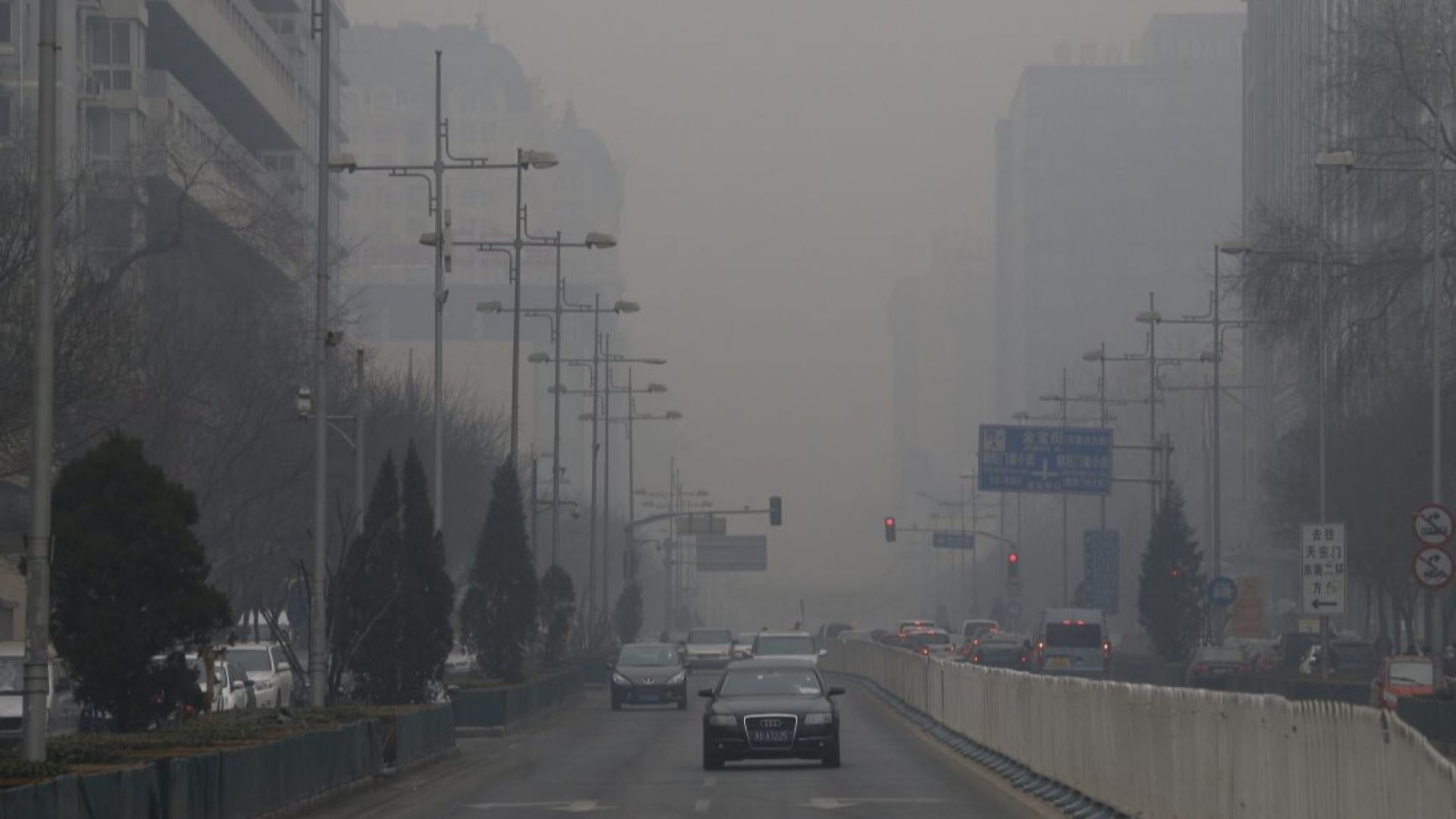 Ограничаването на замърсяването може да предотврати 50 000 смъртни случая 