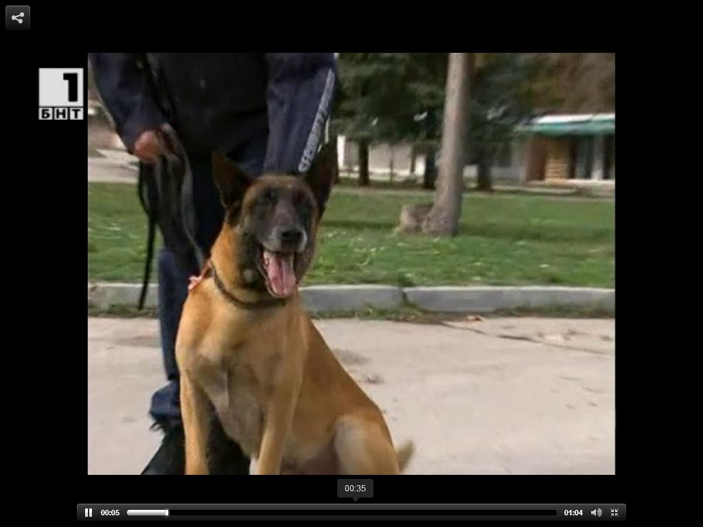 Следово куче помогна за разкриването на крадец